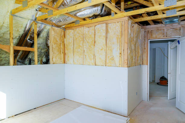 Best Insulation Maintenance and Repair in Miles, TX